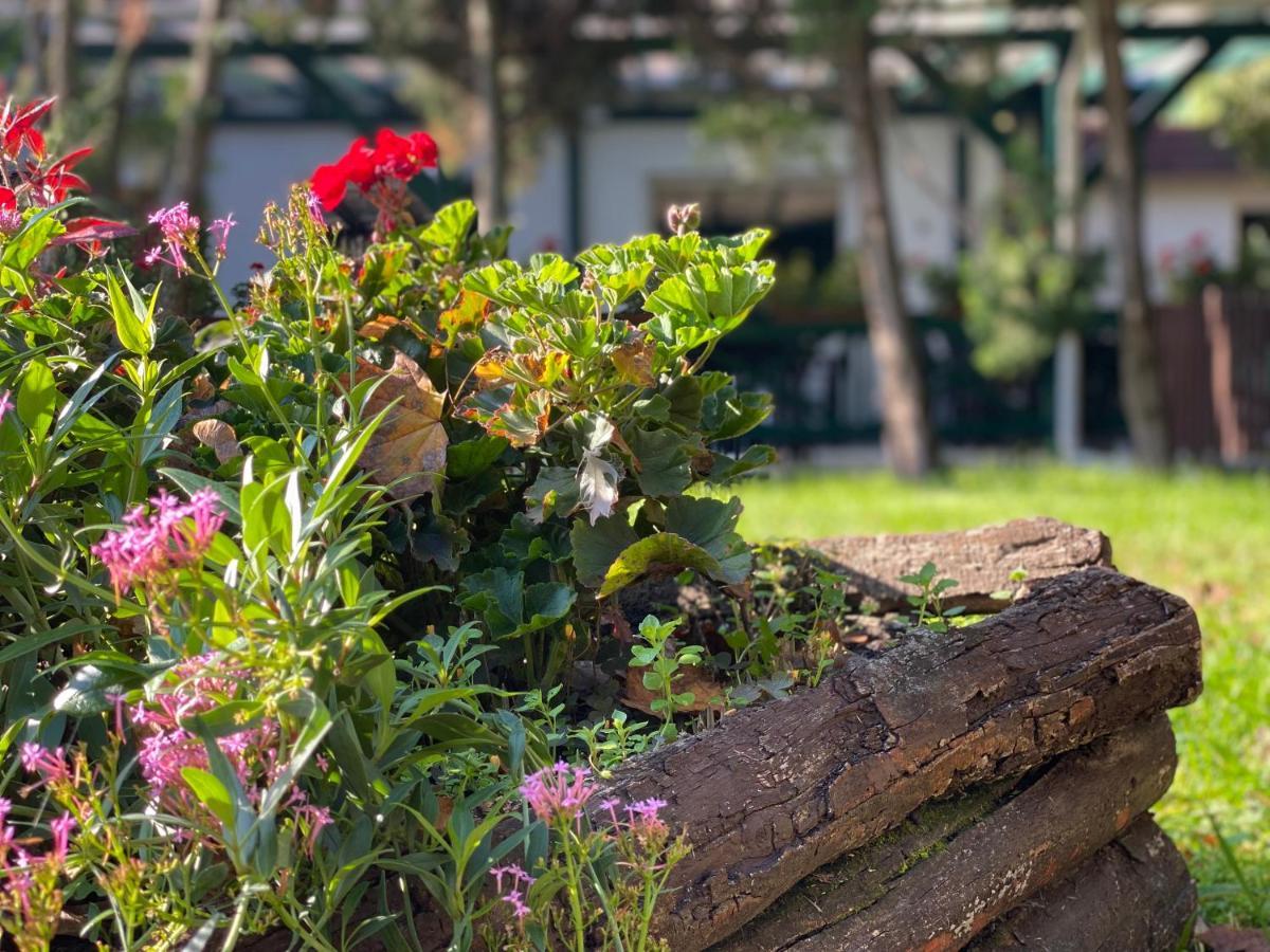 A Fogado Bed & Breakfast Bicske Bagian luar foto